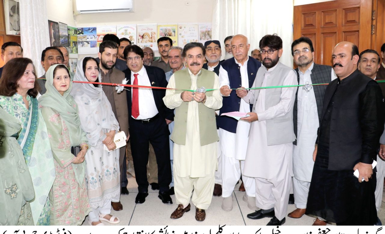 گورنر بلوچستان پاک جاپان ثقافتی مرکز نمائش کا افتتاح کر رہے ہیں۔